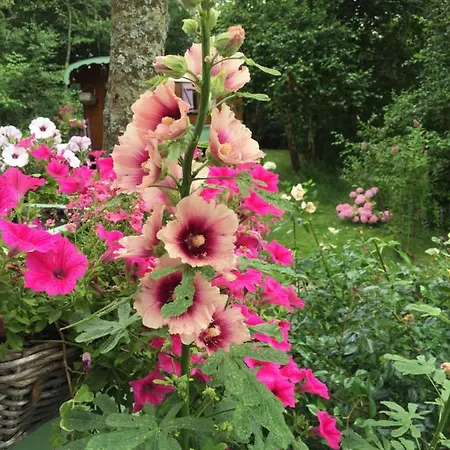 Roulottes Du Rouard Bed & Breakfast