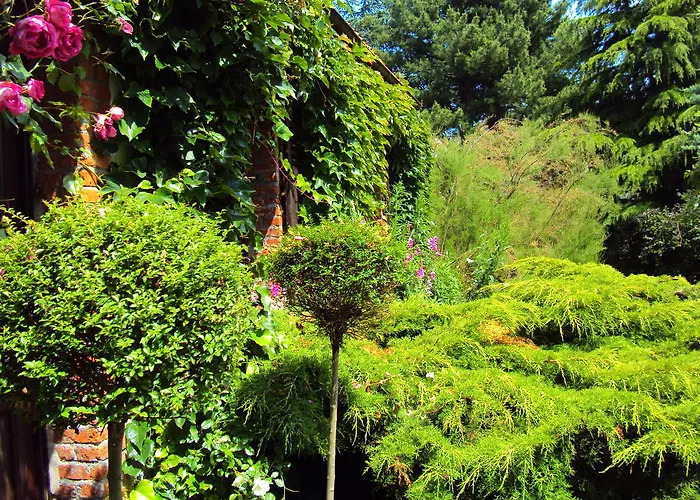 Bed & Breakfast Roulottes Du Rouard Camiers
