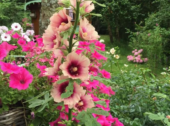 Roulottes Du Rouard Bed & Breakfast