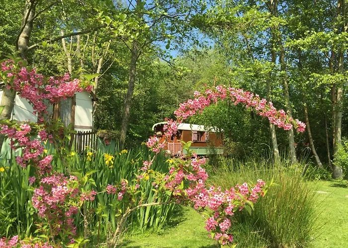 Bed & Breakfast Roulottes Du Rouard