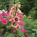 Roulottes Du Rouard Bed & Breakfast