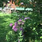 Bed & Breakfast Roulottes Du Rouard 3*