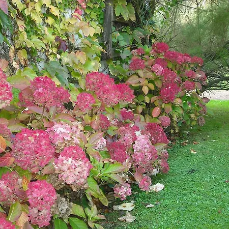 Roulottes Du Rouard Camiers