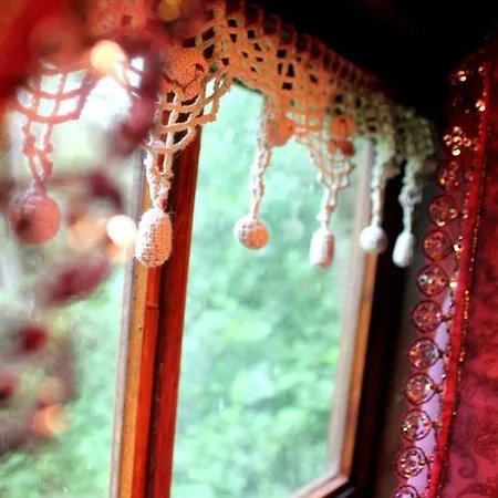 Bed & Breakfast Roulottes Du Rouard Camiers