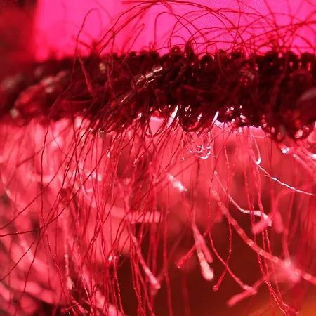 Bed & Breakfast Roulottes Du Rouard